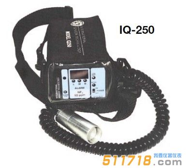 IQ-250扩散式单气体检测仪