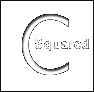 美国C-Squared单一气体检测仪