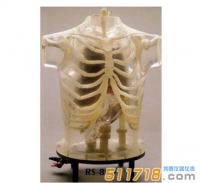 美国RSD ART Phantom胸部模体