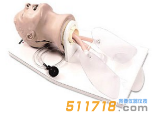 美国NASCO Airway Larry LF03699U急救插管头部模型