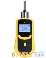 HY2000-O2 泵吸式氧气检测仪