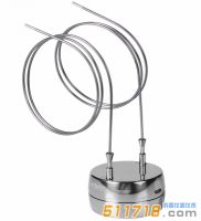 德国ebro EBI 12-T441无线温度记录器(上出针双铠装)