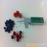 意大利 Fruit Firm Meter手持式无损伤水果硬度计