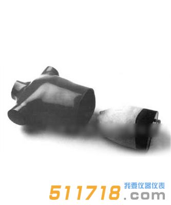 美国RSD 肺和胸部模型