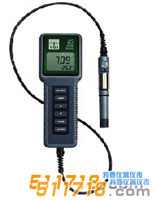 美国YSI 63型酸度、盐度、电导、温度测量仪