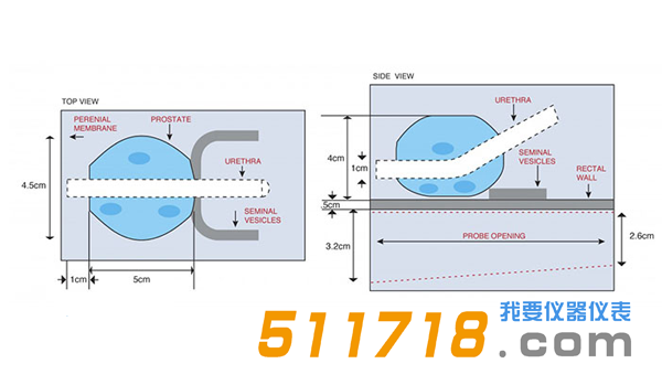 美国CIRS 053S 053L 053L-EF前列腺MRI测试体模1.png