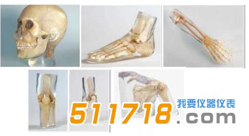 德国QUART全身X射线模体.jpg