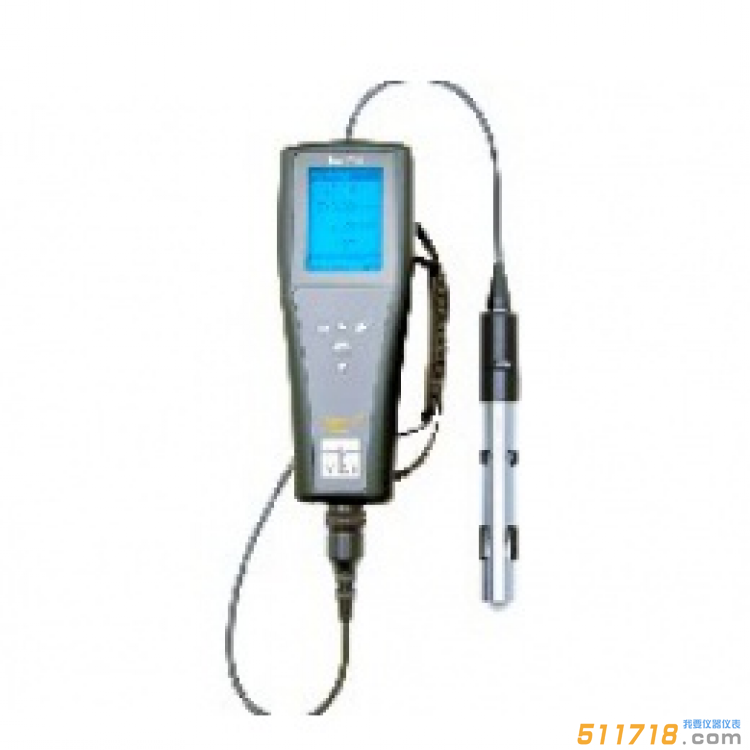 美國YSI Pro2030 多參數(shù)水質(zhì)測量儀