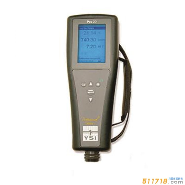 美国YSI Pro20型溶解氧测量仪