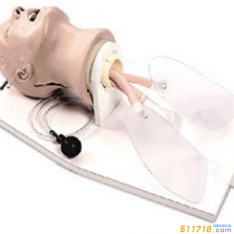 美国NASCO Airway Larry LF03699U急救插管头部模型