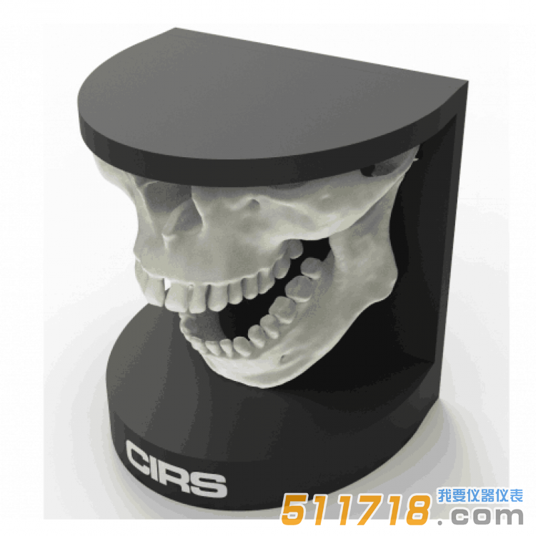 美國CIRS 134200牙科口腔模體
