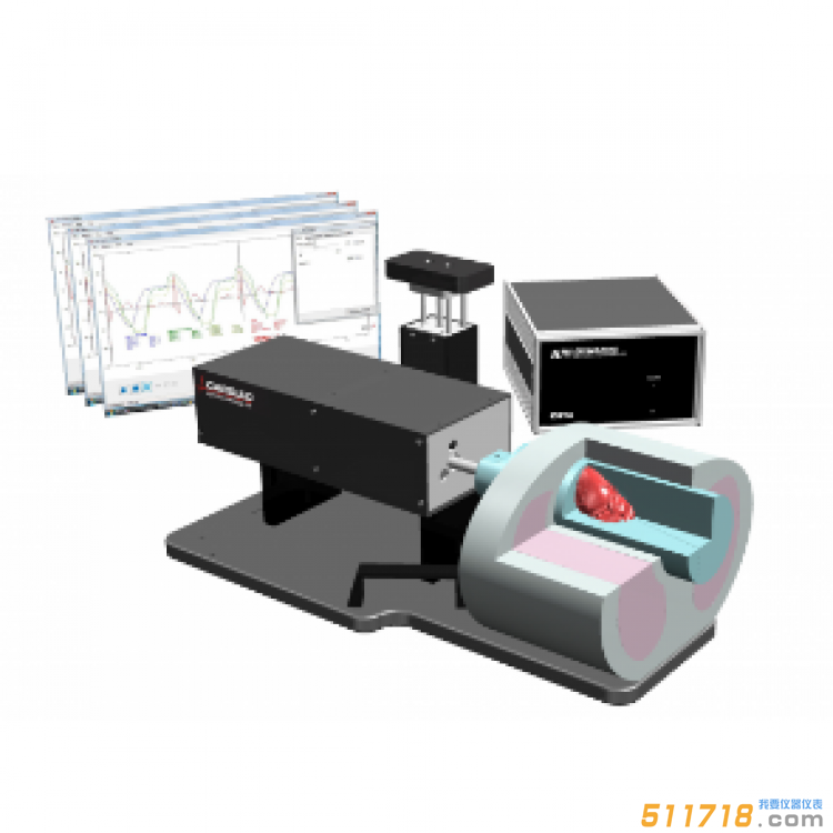 美国CIRS 008C动态心脏模体