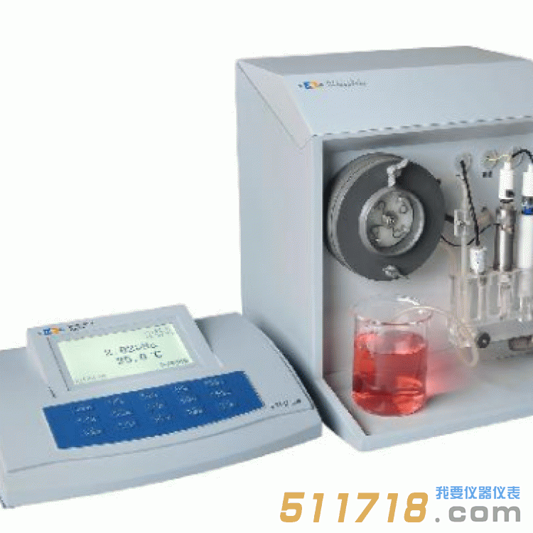 DWS-295F型鈉離子計